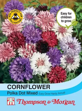 Cornflower Polka Dot Mixed