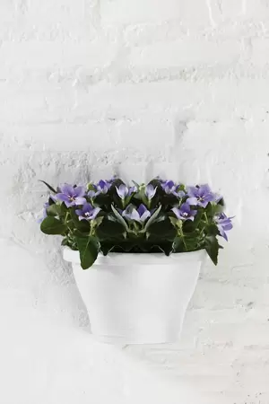 Corsica Wall Basket 25cm - image 2