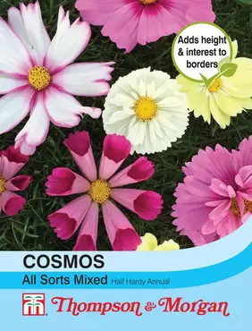 Cosmos All Sorts Mixed