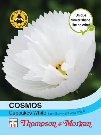Cosmos Cupcakes - White
