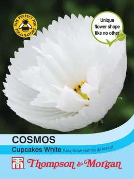 Cosmos Cupcakes - White