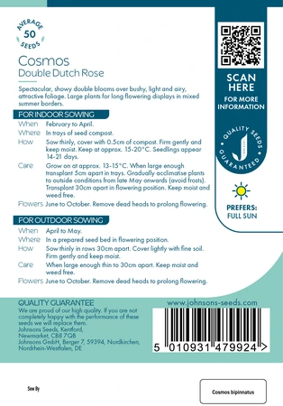 Cosmos Double Dutch Rose - image 2