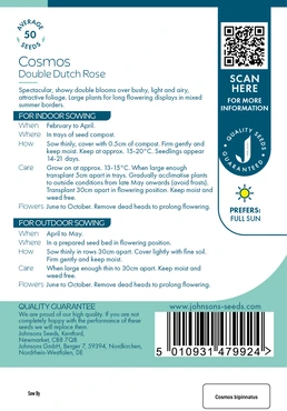 Cosmos Double Dutch Rose - image 2