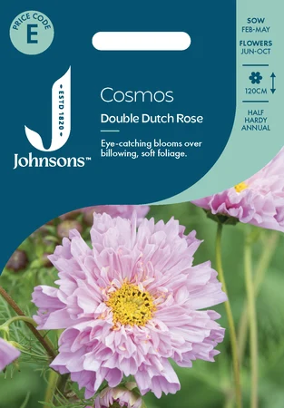 Cosmos Double Dutch Rose - image 1