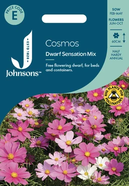 Cosmos Dwarf Sensation Mix