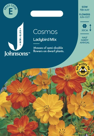 Cosmos Ladybird Mix - image 1