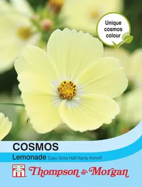 Cosmos Lemonade