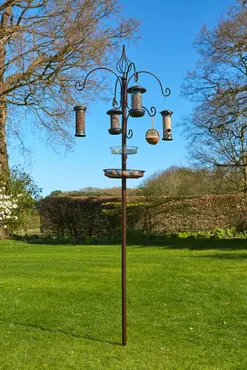 Cotswold Bird Feeding Station - image 2
