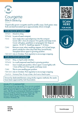 Courgette Black Beauty Org - image 2