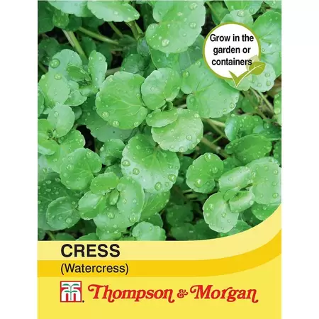 Cress (Watercress)