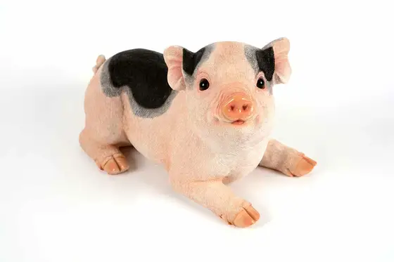 Crouching Piglet