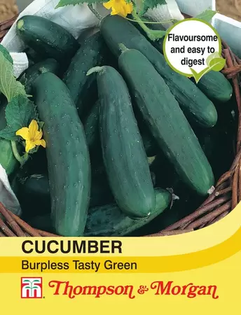 Cucumber Burpless Tasty Green