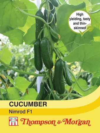 Cucumber Nimrod F1 Hybrid