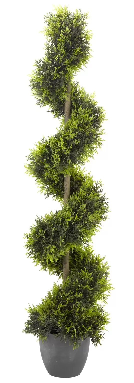 Cypress Topiary Twirl 120cm
