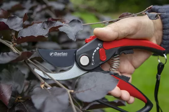 Darlac Adjustable Bypass Pruner - image 2