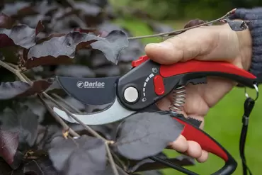 Darlac Adjustable Bypass Pruner - image 2