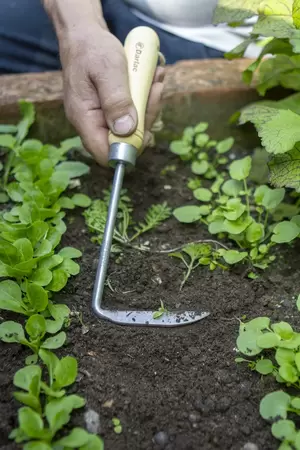 Darlac Cape Cod Weeder - image 2
