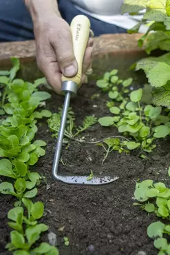 Darlac Cape Cod Weeder - image 2
