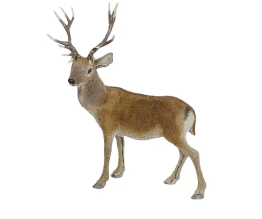 Deer Brown 75 cm