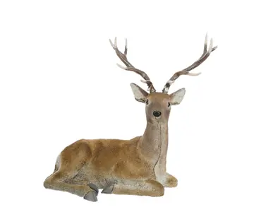 Deer Brown 80 cm