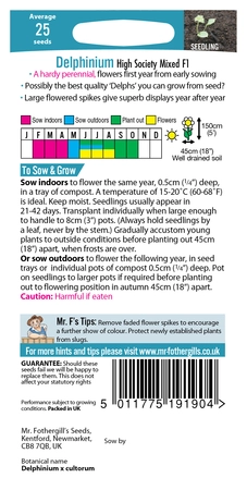 Delphinium High Society Mixed F1 - image 2