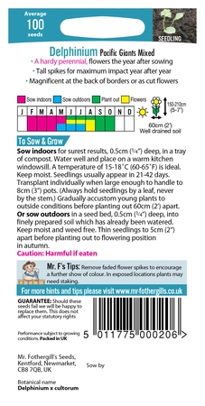 Delphinium Pacific Giants Mixed - image 2