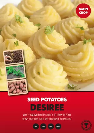 Desiree Seed Potato