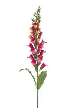 Digitalis Spray Fuchsia/Yellow 97cm