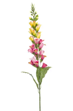 Digitalis Spray Pink/Yellow 97cm