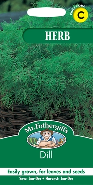 Dill - image 1