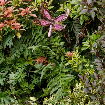 Dragonfly Delight - image 4