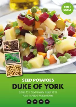 Duke of York Seed Potato 2kg
