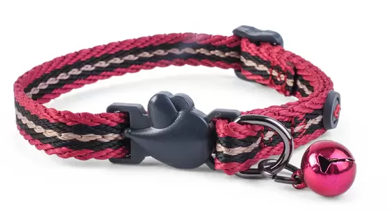 Durham Adjustable Wonderlust Cat Collar