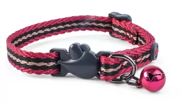 Durham Adjustable Wonderlust Cat Collar
