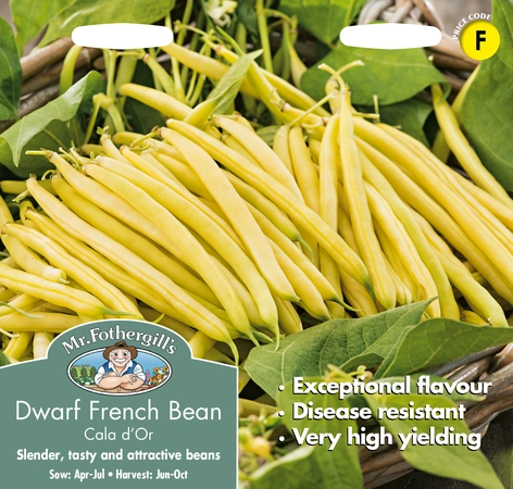 Dwarf French Bean Cala D'or - image 1