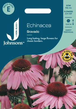 Echinacea Bravado