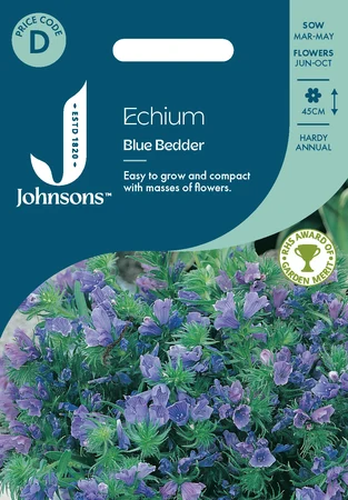 Echium Blue Bedder - image 1