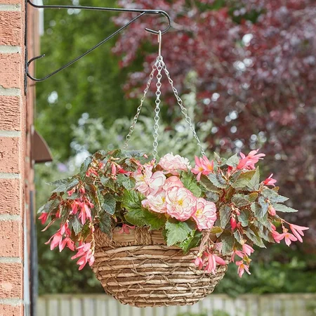 Ecograss Hanging Basket 14in - image 3