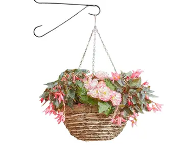 Ecograss Hanging Basket 14in - image 1