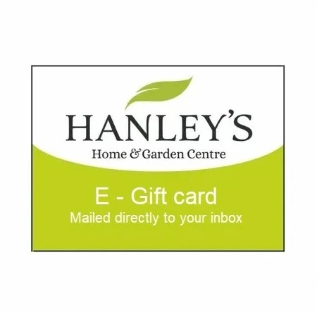 Hanley's E-gift card