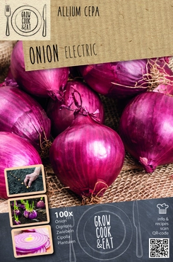 Electric Onion Set (Overwinter Red)