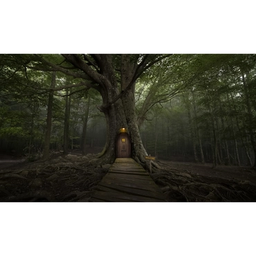 Enchanted Forest With House Backdrop 4 X 1.8m