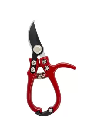 Ergo Pruner - image 1