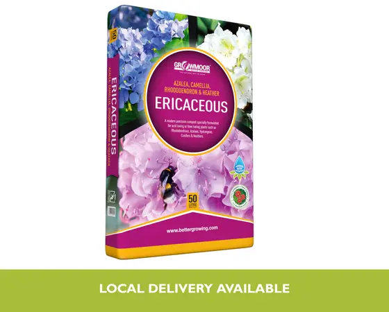 Ericaceous Compost 50L