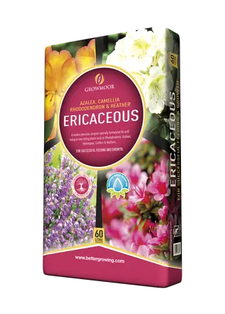 Ericaceous Compost 60L