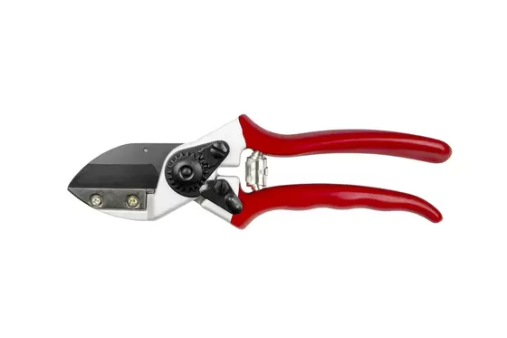 Expert Anvil Pruner - image 1