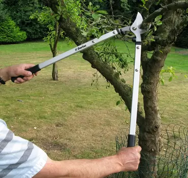 Expert Bypass Lopper - image 2