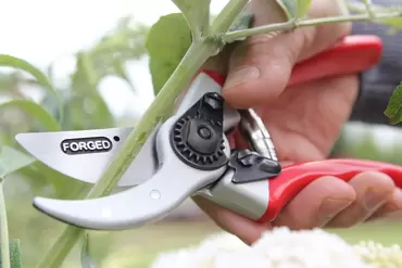 Expert Drop Forged Pruner