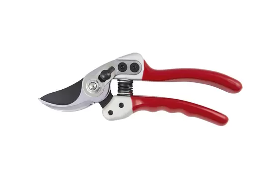 Expert Small Bypass Pruner - image 1
