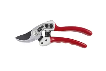 Expert Small Bypass Pruner - image 1